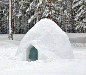 Illustration for article titled How to build an igloo for the nuclear winter